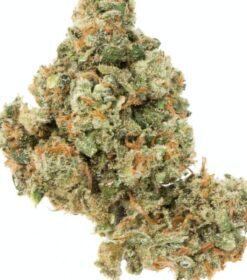 Jack Herer Strain