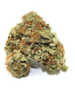 Grape Ape strain Online
