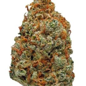 86547169_5e17b9e6e0faca07c0529a2d-300b00283e1579c10b7d04df8d7e2f1158dc2bc6-1-1580115017920-800x800-1-280x280