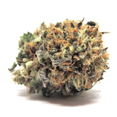 BlueCheese2-3-1-600x600-1-400x400