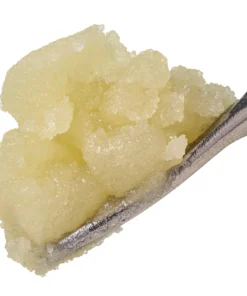 Live Rosin Sugar