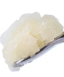 Apples & Bananas Live Sugar