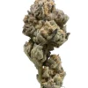 Sun Run THCa Flower